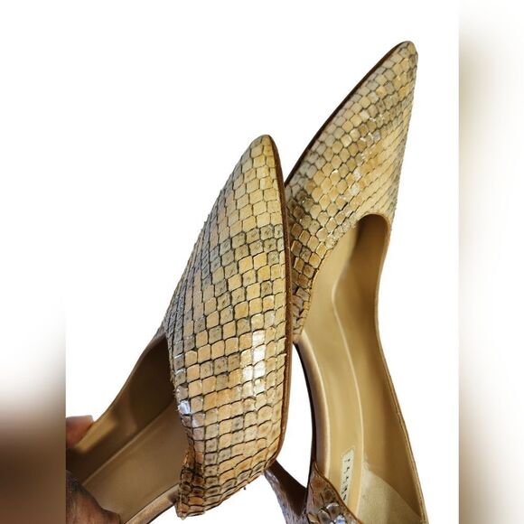 Fratelli Rossetti  - Picture 4 of 13